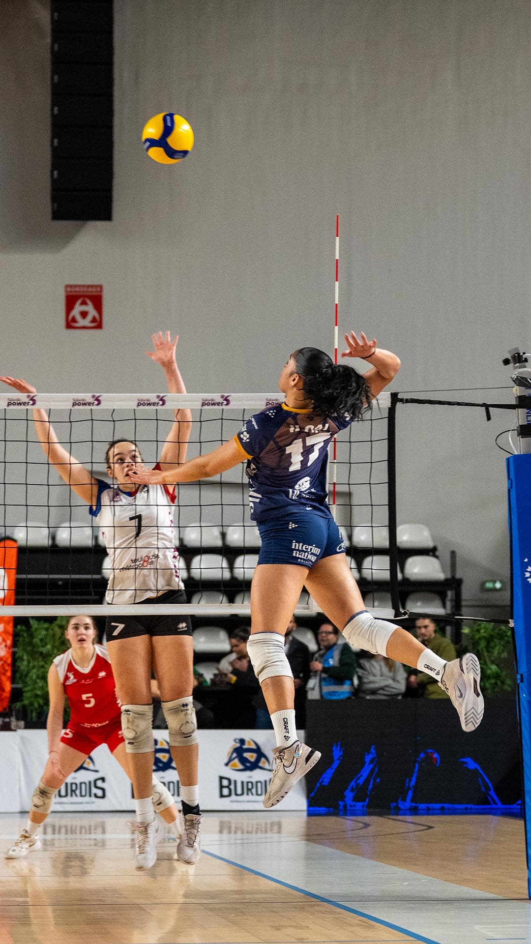 Septieme match à domicile des Burdis contre Toulouse